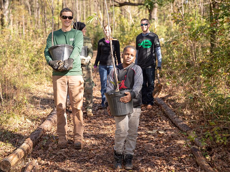 Do lasu zamiast do sklepu? W Stanach Zjednoczonych powstał ogromny las żywności