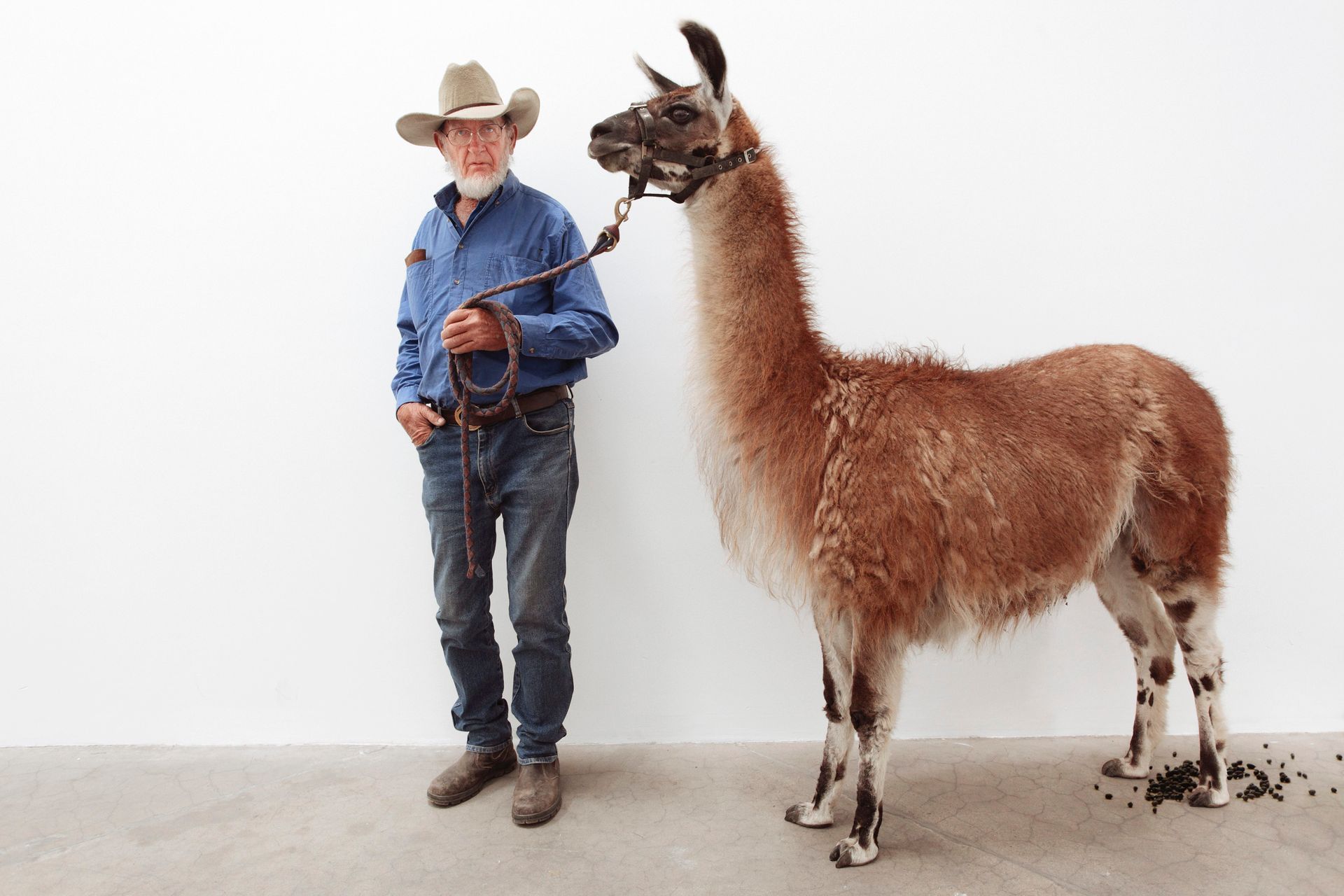 Ironia sposobem na brak radykalizmu. Często wykorzystywana w sztuce i kulturze, lecz bywa niebezpieczna