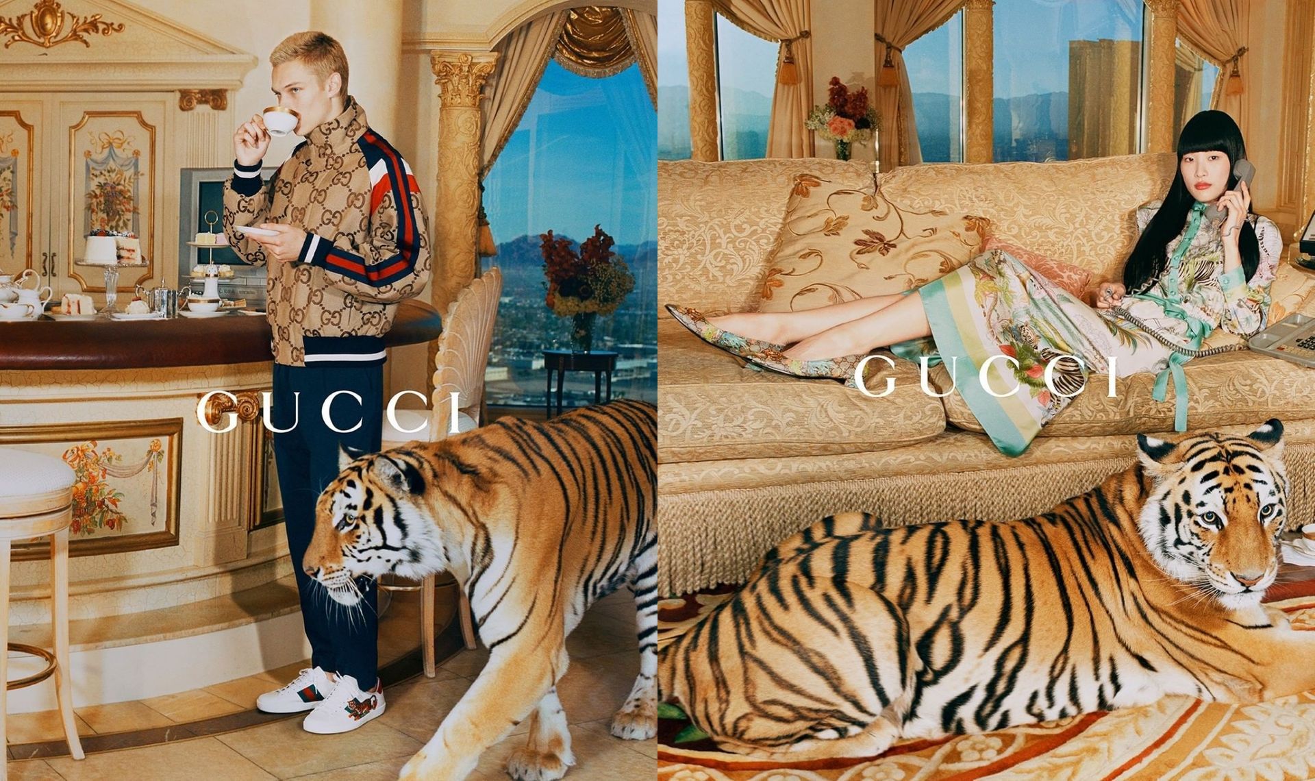 Gucci w ogniu krytyki. Powodem prawdziwe tygrysy wykorzystane w nowej kampanii