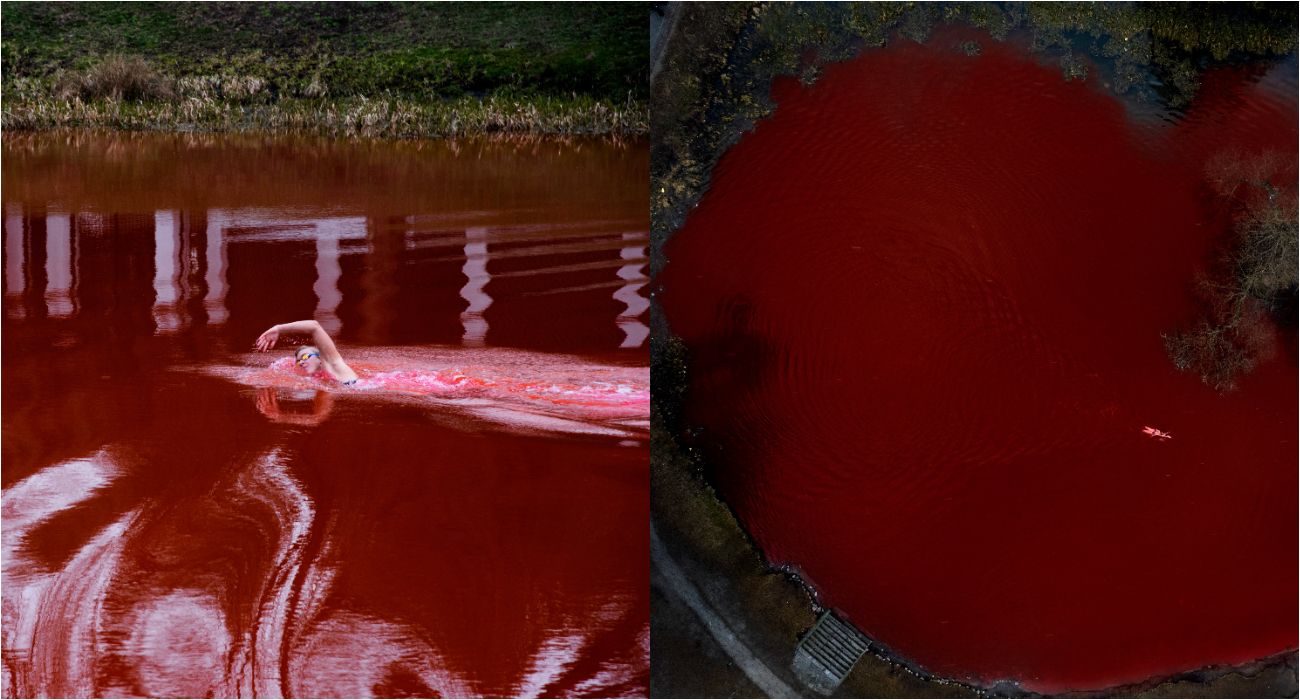 Pływaczka olimpijska przepłynęła przez „krwawy staw" przed rosyjską ambasadą