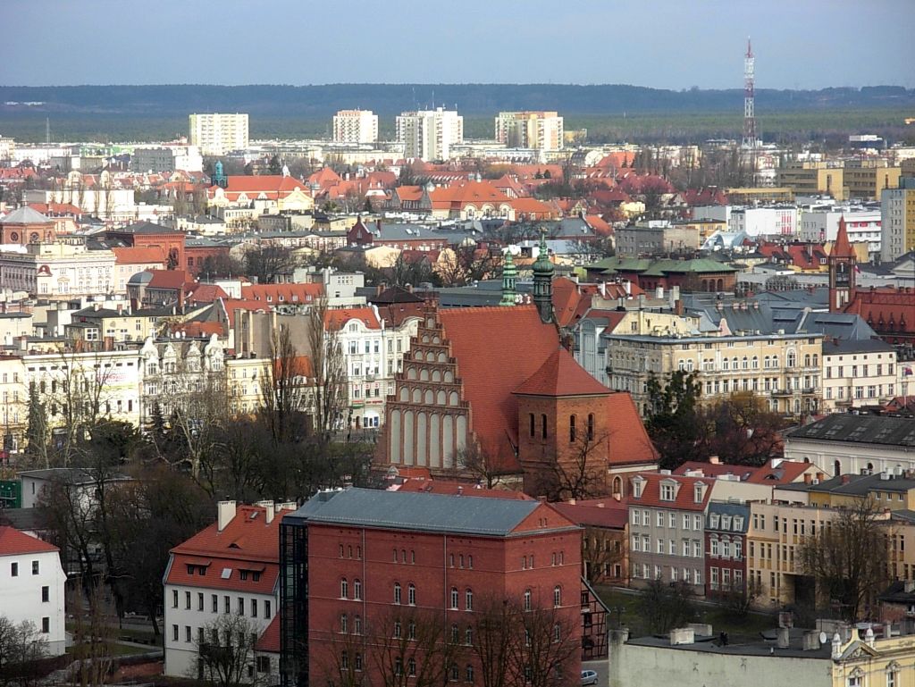 Bydgoskie memy z ulicy