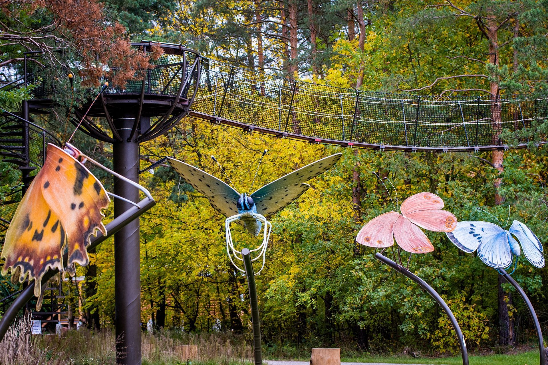 Spacer w koronach drzew