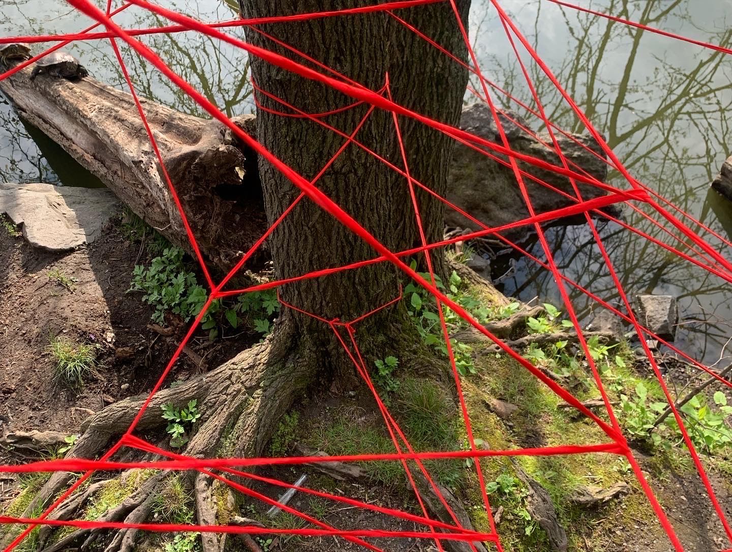 „Matka Boska jako wielowymiarowy symbol. Ja ją bardzo lubię”  - rozmawiamy z Kasią Korus, autorką projektu „Nić życia”