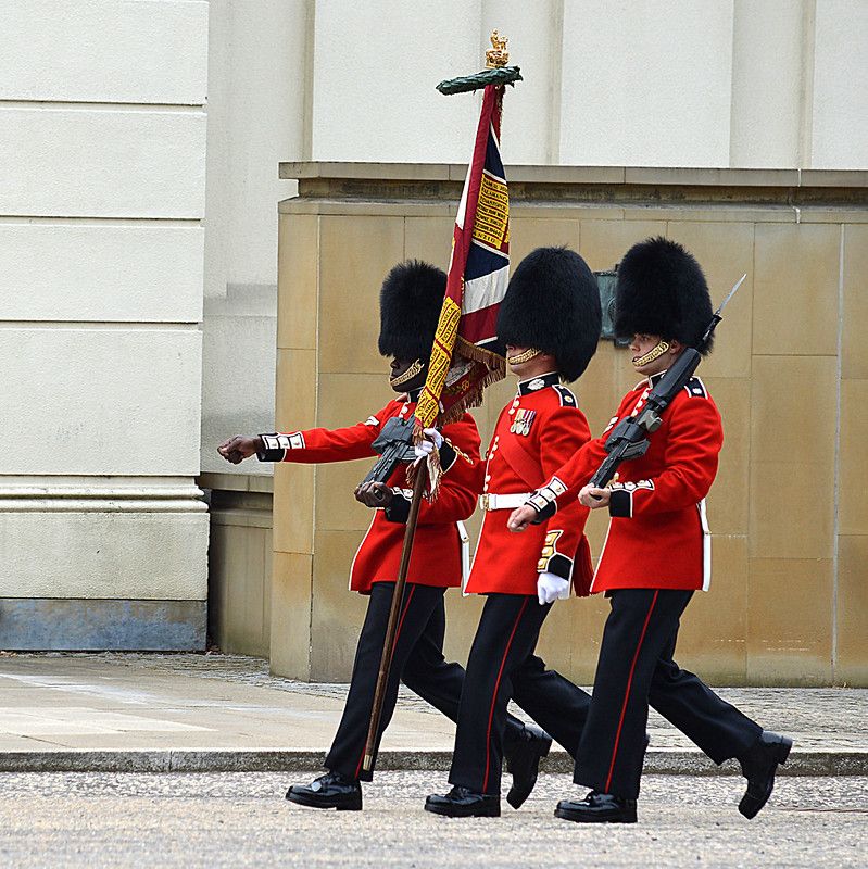 Czy rząd Wielkiej Brytanii weźmie się w końcu za futrzane czapki Gwardii Królewskiej?
