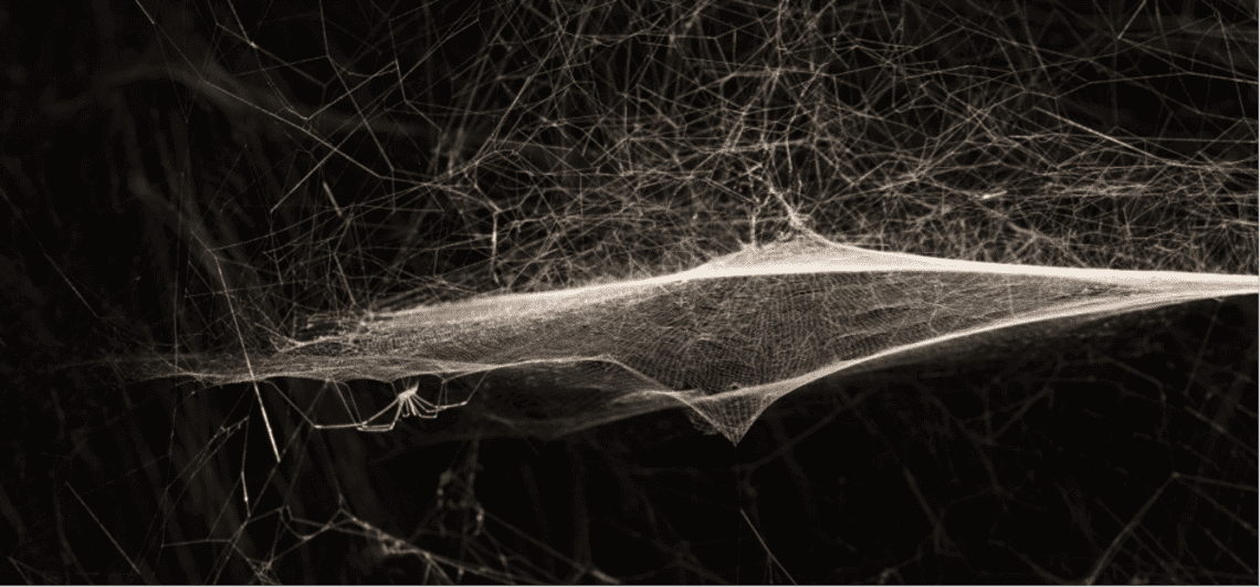 Kurz, pająki i gleba – z tych materiałów tworzy Tomás Saraceno. Artysta, który „ma największe szanse zmienić świat”