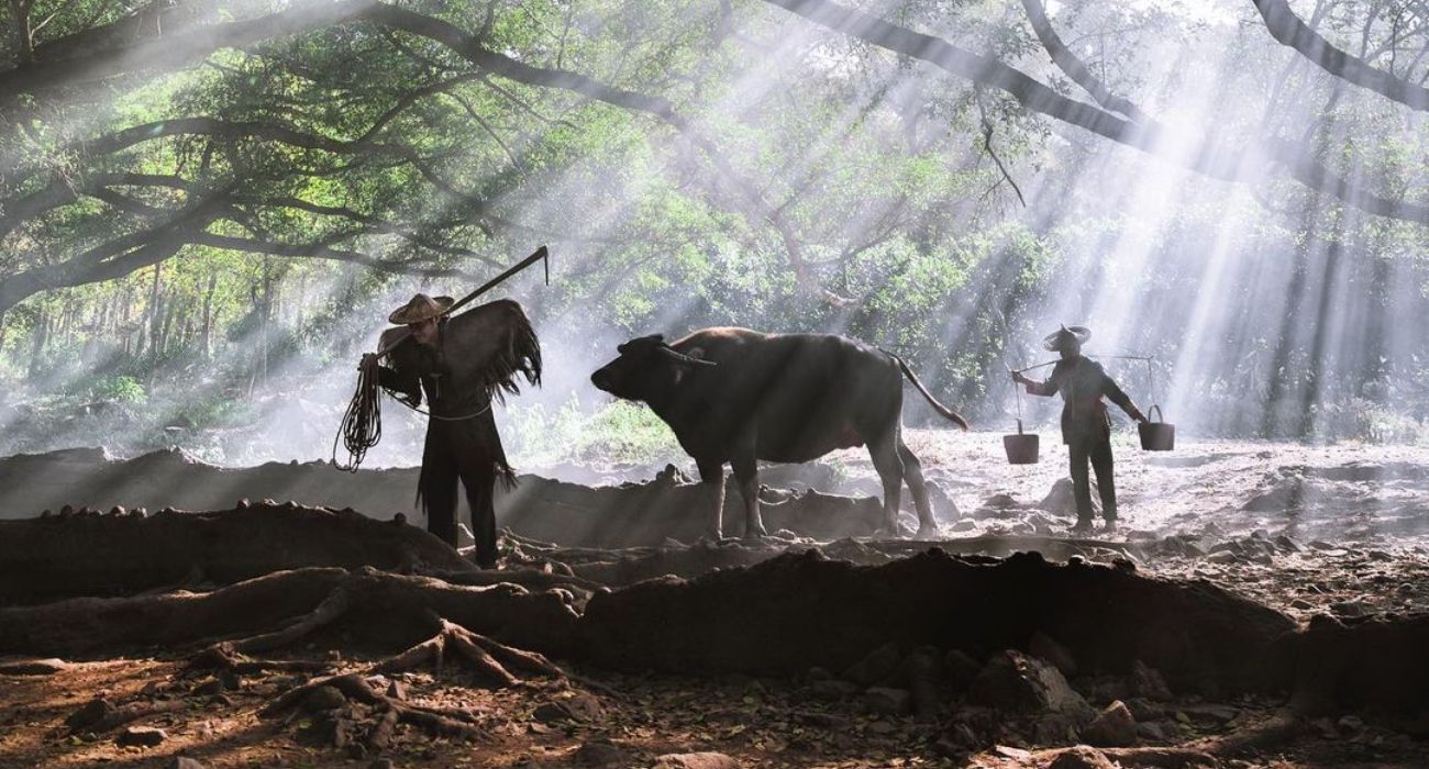 W chińskim miasteczku aktorzy udają farmerów, aby turyści mogli zrobić idealne zdjęcia na Instagram