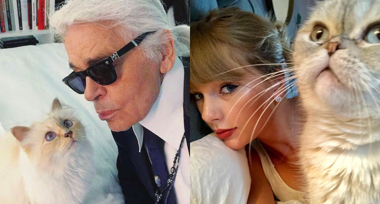 Powstał ranking najbogatszych... zwierząt. Na liście m.in. koty Taylor Swift i Karla Lagerfelda