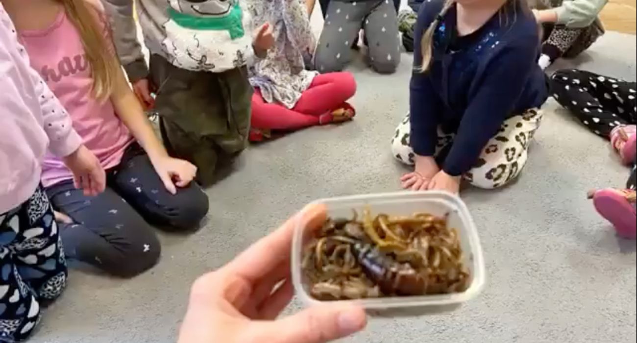Dzieci jadły robaki w polskim przedszkolu. Na placówkę wylał się hejt
