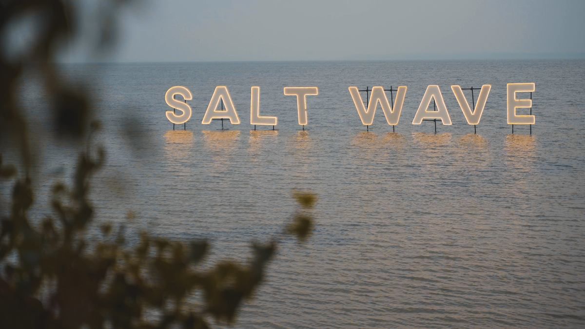 Morza szum, ptaków śpiew, czyli Salt Wave Festival 2023