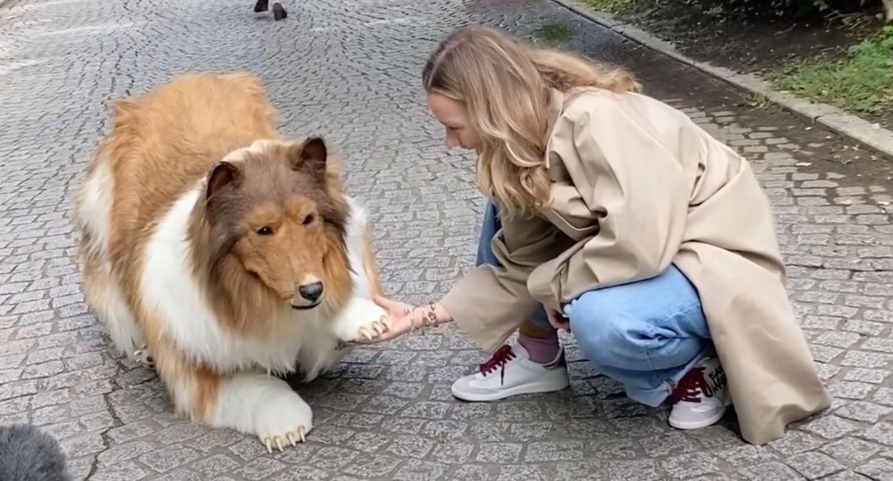 Japończyk wydał majątek, aby zostać psem. Wyszedł na swój pierwszy spacer [WIDEO]