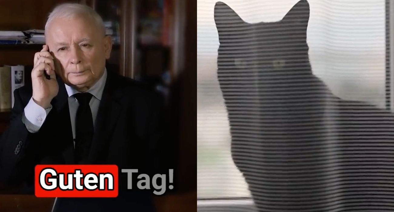 Absurdalny spot PiS hitem sieci. A w nim... kot prezesa!