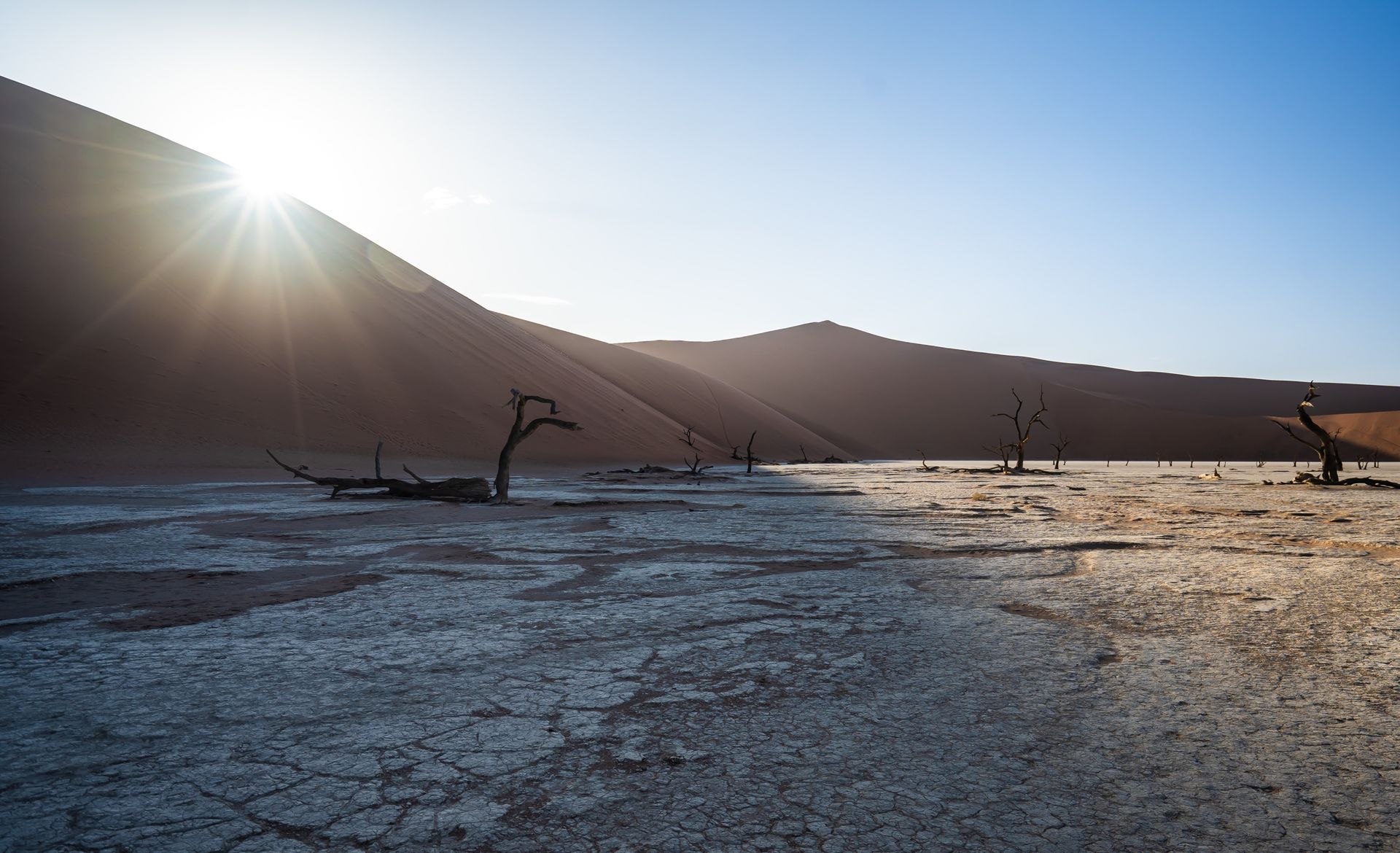 Grozi nam susza – kolejny rok pożarów i braku wody