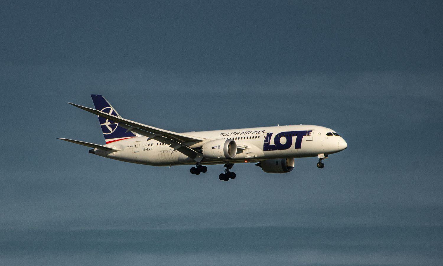 Polskie linie lotnicze LOT w czołówce światowego rankingu za rok 2023