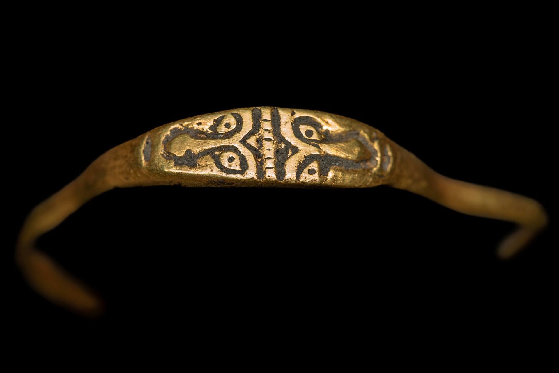 Niezwykłe odkrycie na Wawelu. Takiego egzemplarza jeszcze nie było!