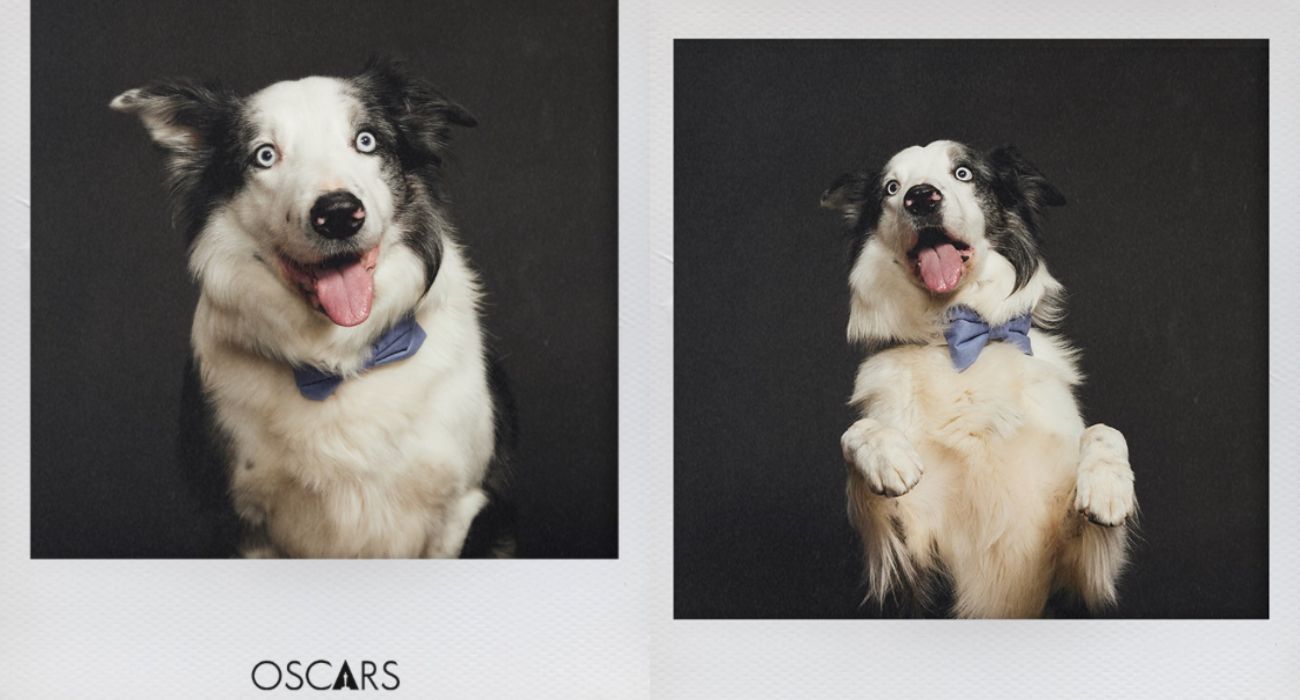 Messi – pies, który zasłużył na Oscara