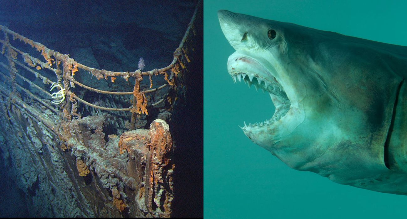 Staż w kadłubie Titanica – artyści zaproszeni w głąb oceanu