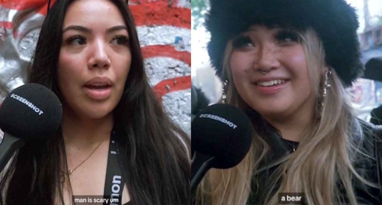 Kto gorszy: mężczyzna czy niedźwiedź? Odpowiedzi kobiet stały się viralem [WIDEO]