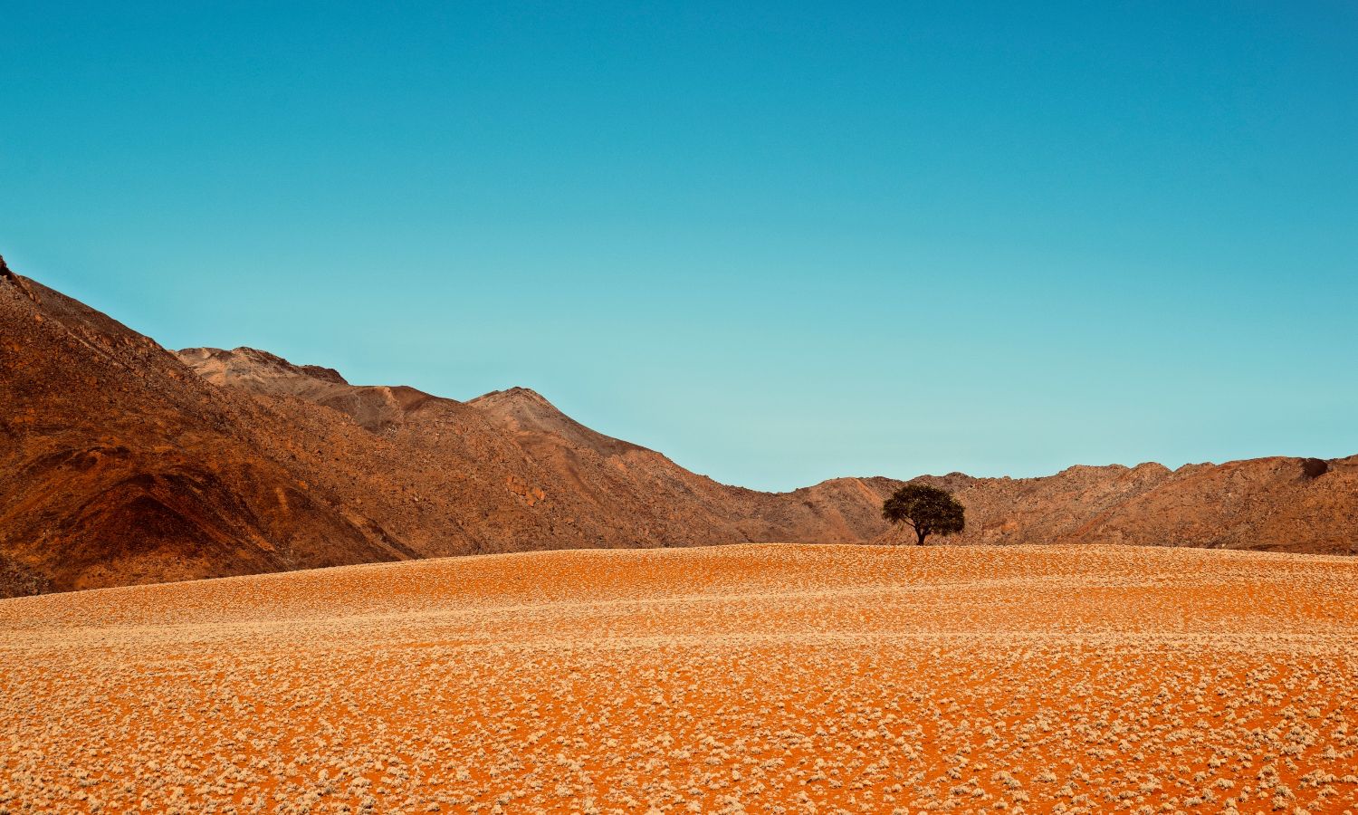 Nomadyczne fantazje – 100 najbardziej niezwykłych miejsc na podroż. Najnowszy ranking magazynu „Time”