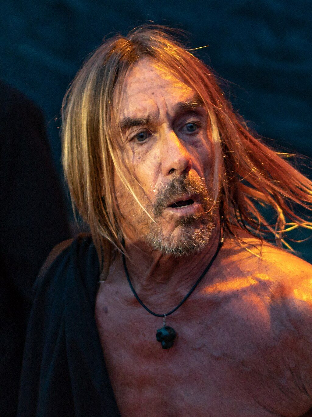 Iggy Pop promuje polskie brzmienia – Polka doceniona po raz kolejny