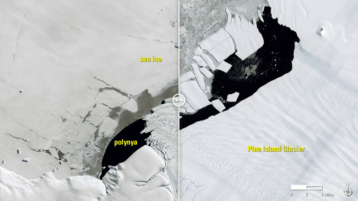 Pine Island, Antarktyka