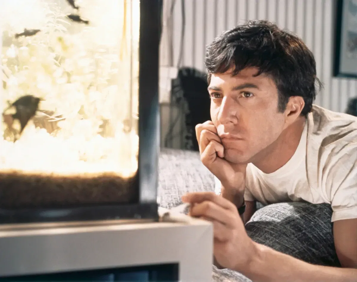 „Absolwent” wraca do kin. Dustin Hoffman, pani Robinson i najsmutniejsza jazda autobusem w historii kina
