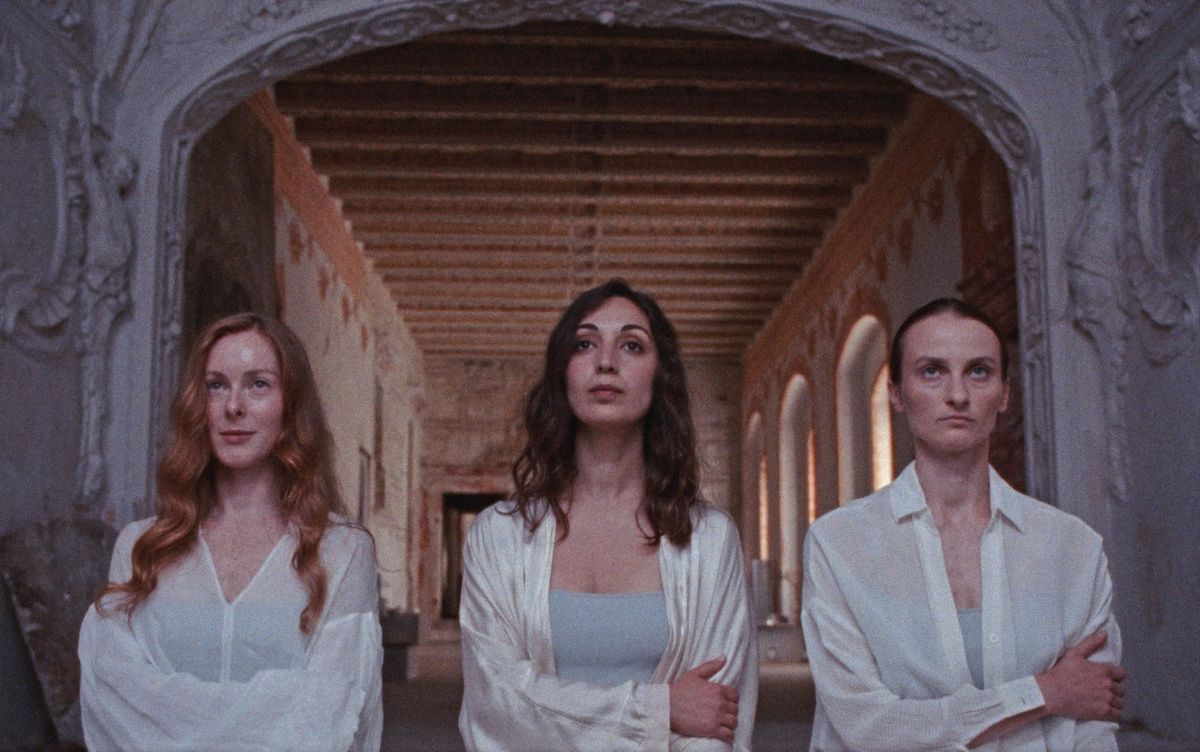 fot. materiały prasowe Galapagos Films