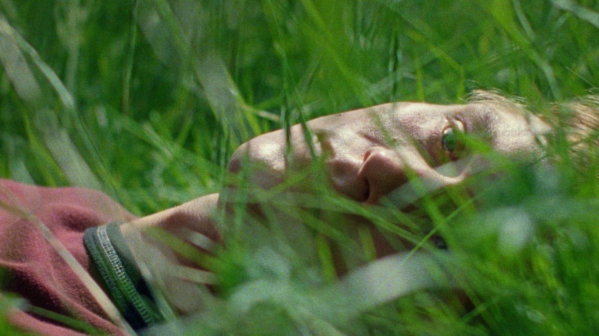 kadry z filmu „Milcząca Przyjaciółka” (reż. Ildikó Enyedi), materiały prasowe Gutek Film 
