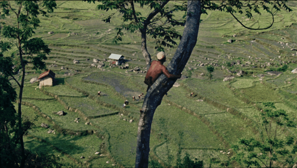 fot. kadr z filmu „Angh”