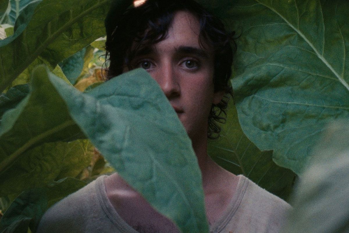 6 filmów łączących współczesność z baśniami