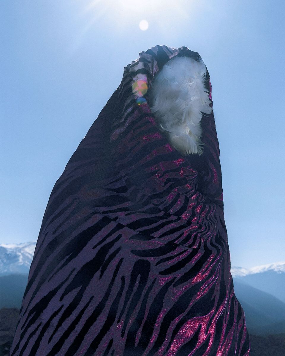 fot. Adam Jakubowski 