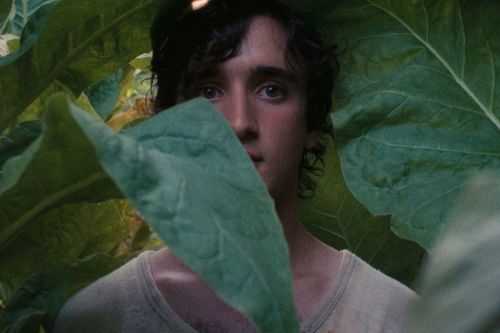 6 filmów łączących współczesność z baśniami