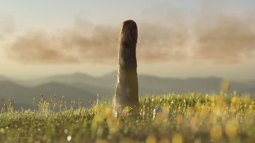 Osiem metrów tajemnicy. Naukowcy odkryli wymarłą formę życia