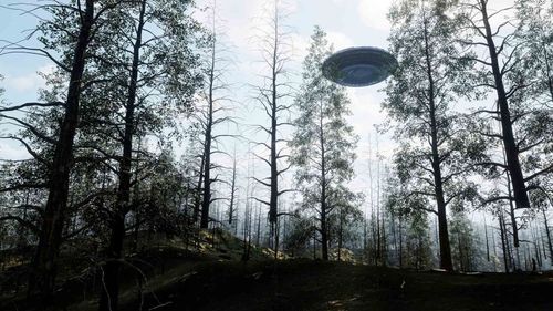 aliens.gov – co pojawi się na amerykańskim, rządowym portalu o UFO?