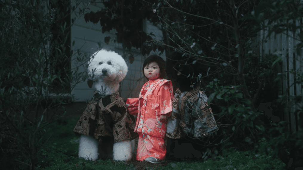 Urocze pudle i gwiazda Instagrama w klipie Becka