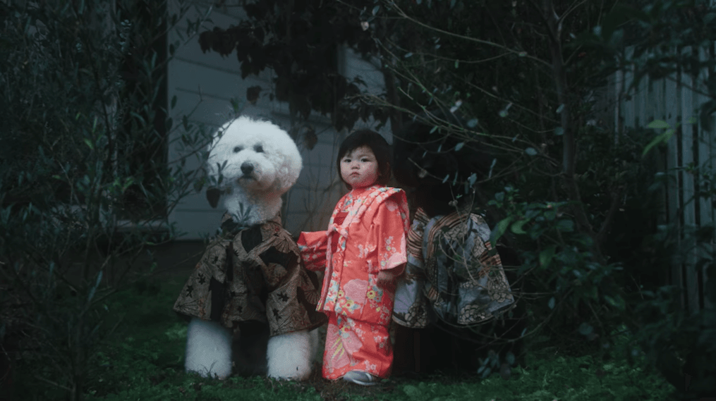 Urocze pudle i gwiazda Instagrama w klipie Becka