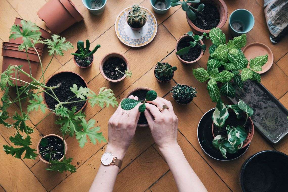 Minimalistyczne zegarki polskiej marki MIUGO pomagają odnaleźć się w miejskiej dżungli