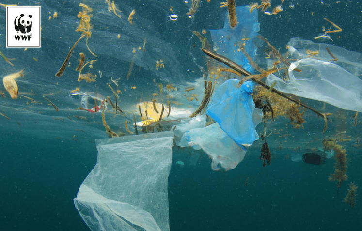 Koniec z plastikowymi jednorazówkami? UE chce zakazać plastikowych sztućców, słomek, mieszadełek i nie tylko