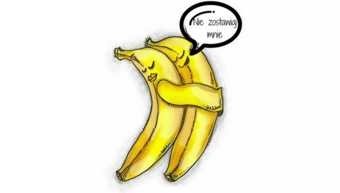 5 rad dla adeptów zero waste. Walkę z marnowaniem żywności zacznijmy od swojej lodówki