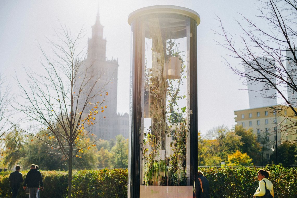 Na ulicach Warszawy umieszono rośliny w przezroczystych słupach. Zobaczcie miejskie floraria