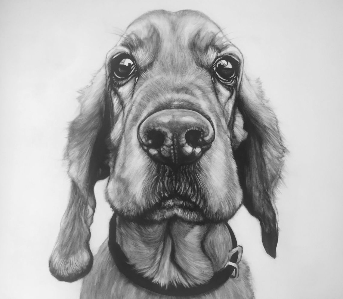 Artysta Michał Torzecki szykuje kolejny wernisaż charytatywny