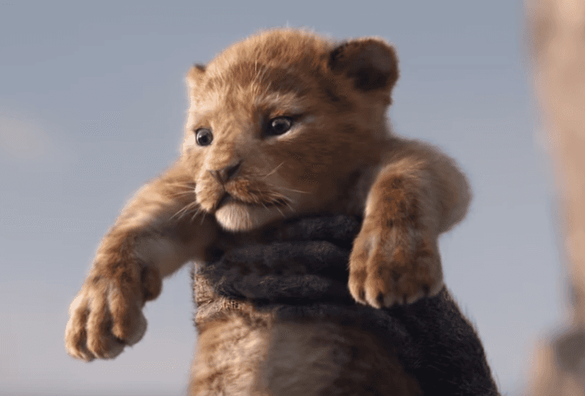 Jest trailer remake'u "Króla Lwa": Realistyczny Simba i niesamowite krajobrazy
