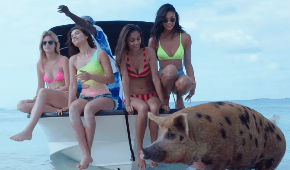 Netflix stworzył dokument o najgorszym festiwalu świata. Premiera już za tydzień