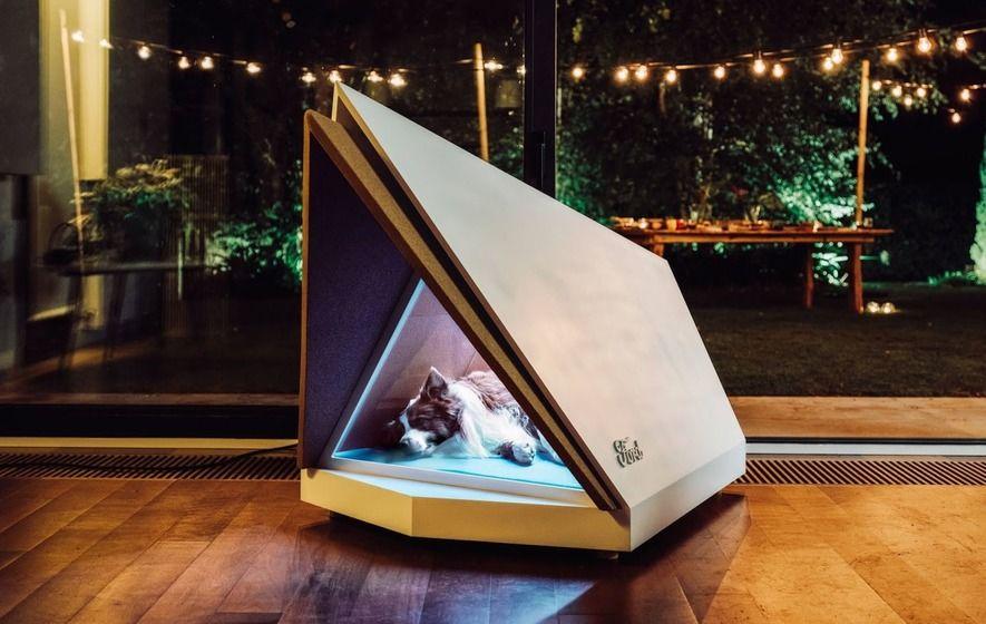 Dźwiękoszczelny i efektowny kojec dla psów od Forda. Może uratować zwierzętom sylwestra