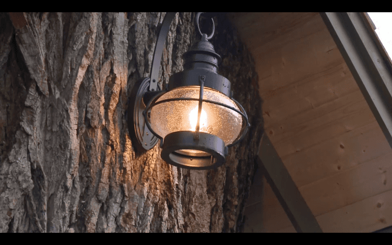 Skazane na ścięcie 110-letnie drzewo zyskało drugie życie. Stworzono w nim baśniową bibliotekę