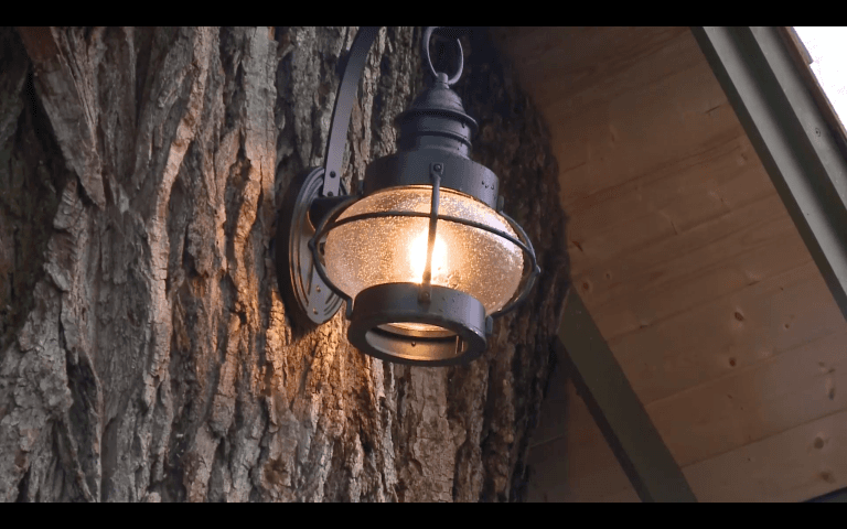 Skazane na ścięcie 110-letnie drzewo zyskało drugie życie. Stworzono w nim baśniową bibliotekę