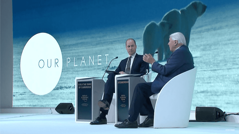 David Attenborough odpowiada na pytania księcia Williama przed premierą nowego dokumentu dla Netflixa