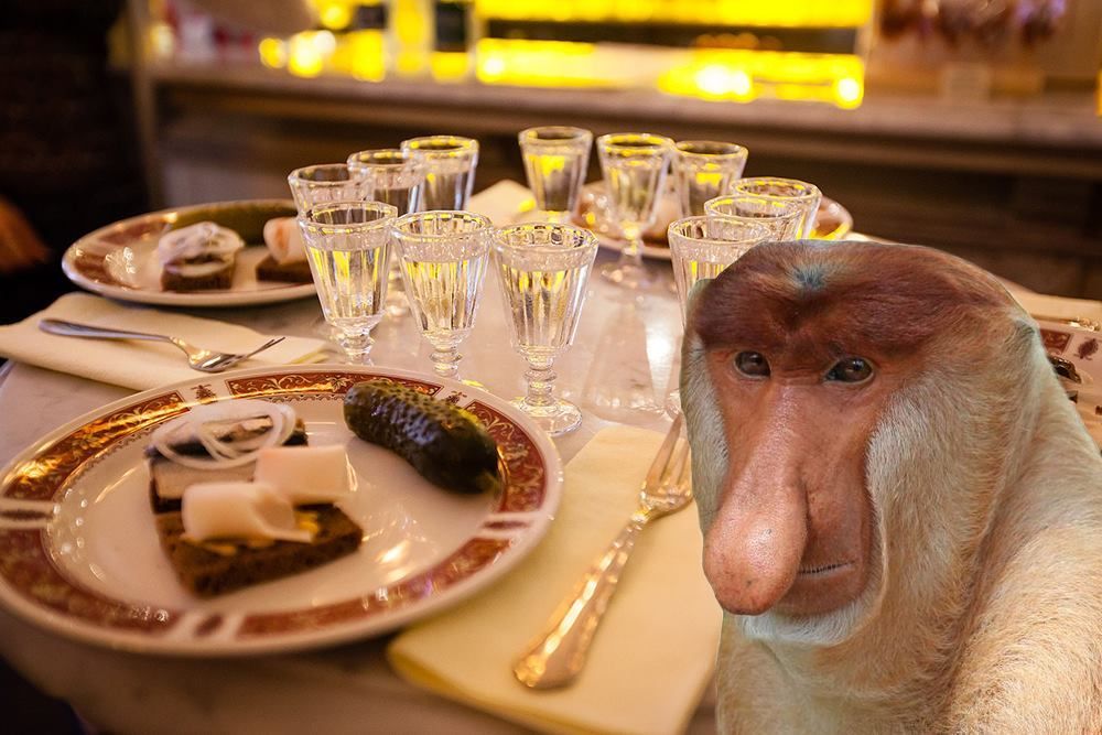 Wódka najlepiej zredagowanym hasłem w polskiej Wikipedii. Znamy wyniki prestiżowego konkursu