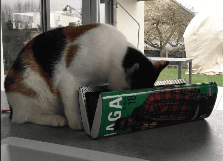 O co chodzi z Instagramem Balenciagi?