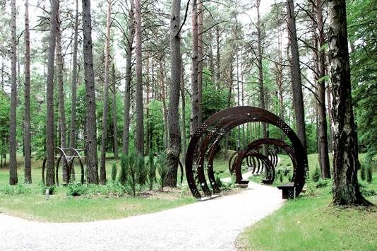 5 najlepszych ośrodków terapii leśnej w Europie