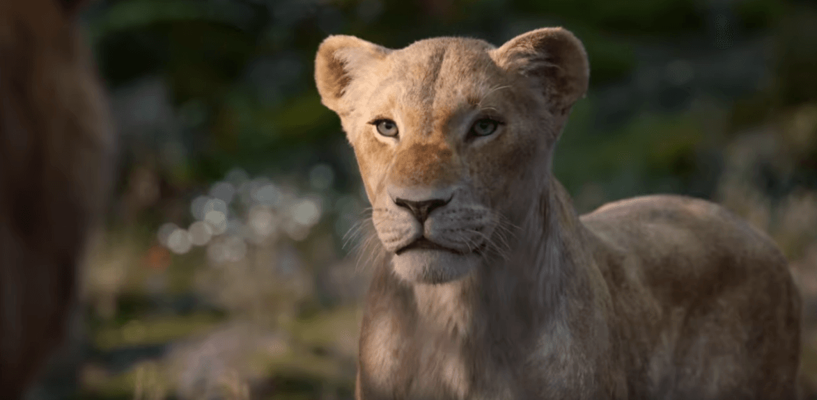 Jest pierwszy zwiastun remake'u "Króla Lwa" z udziałem Beyoncé